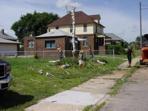 ./Gallery/2011 Bennet Lot Tree Removal/DSC06454.JPG